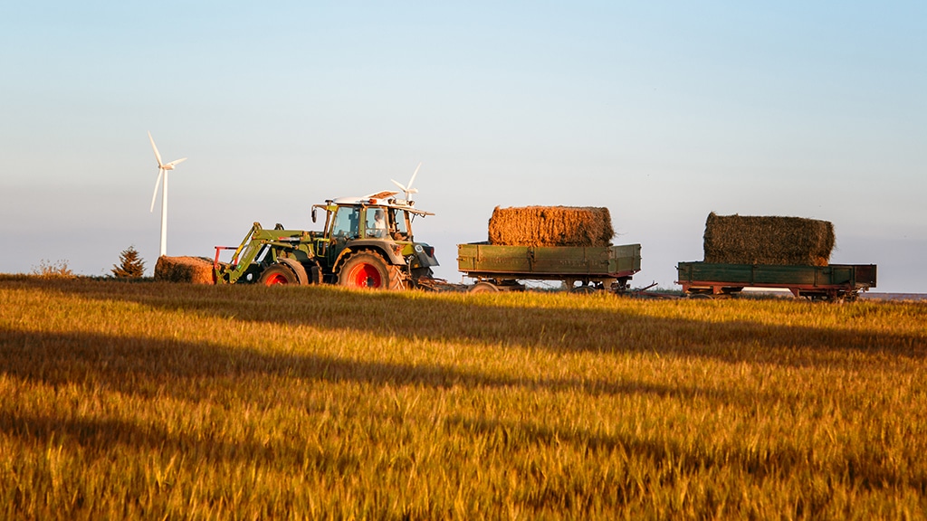 DSC8322 Bearbeitet 1024x576px RGB