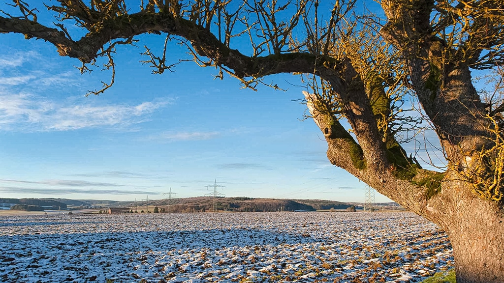 DSC8674 Bearbeitet 1024x576px RGB